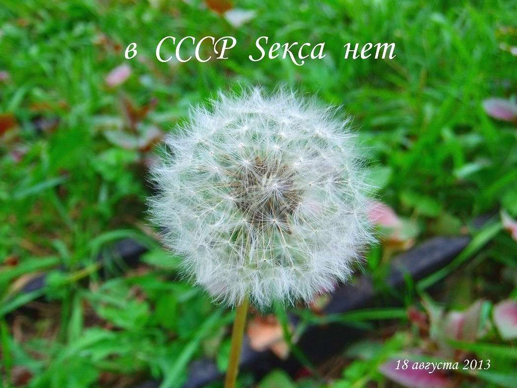 � ���� ����� ��� ����� ���� ��������� �� PhotoGeek.ru #������ ��� �������