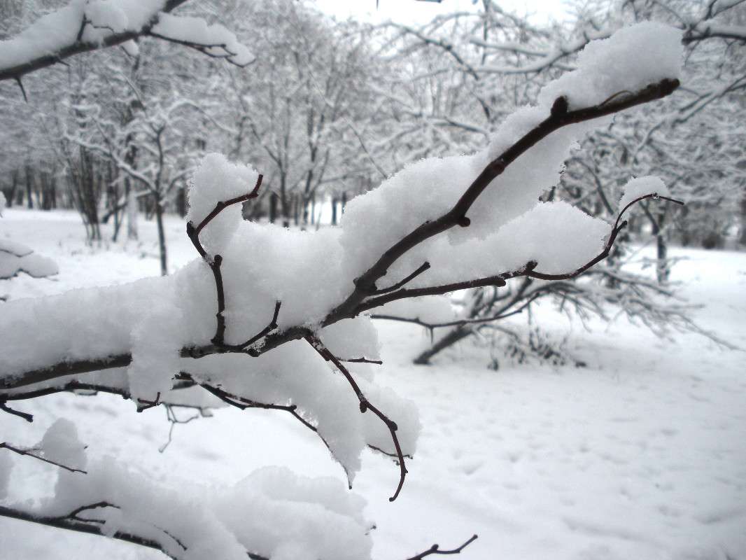 ���� ����� ���� ��������� �� PhotoGeek.ru #������ ��� �������