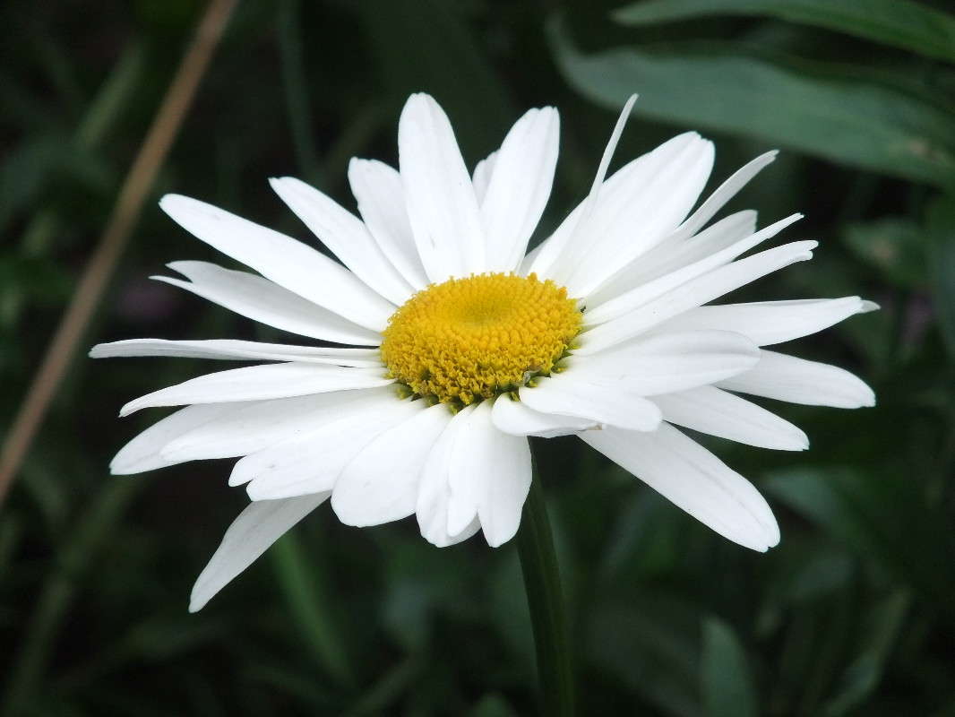 ������� ����� ���� ��������� �� PhotoGeek.ru #������ ��� �������