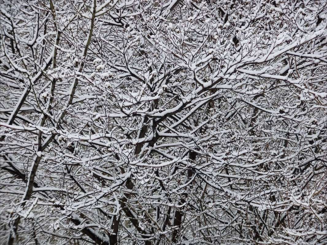 ������ ���� ����� ����� ���� ��������� �� PhotoGeek.ru #������ ��� �������