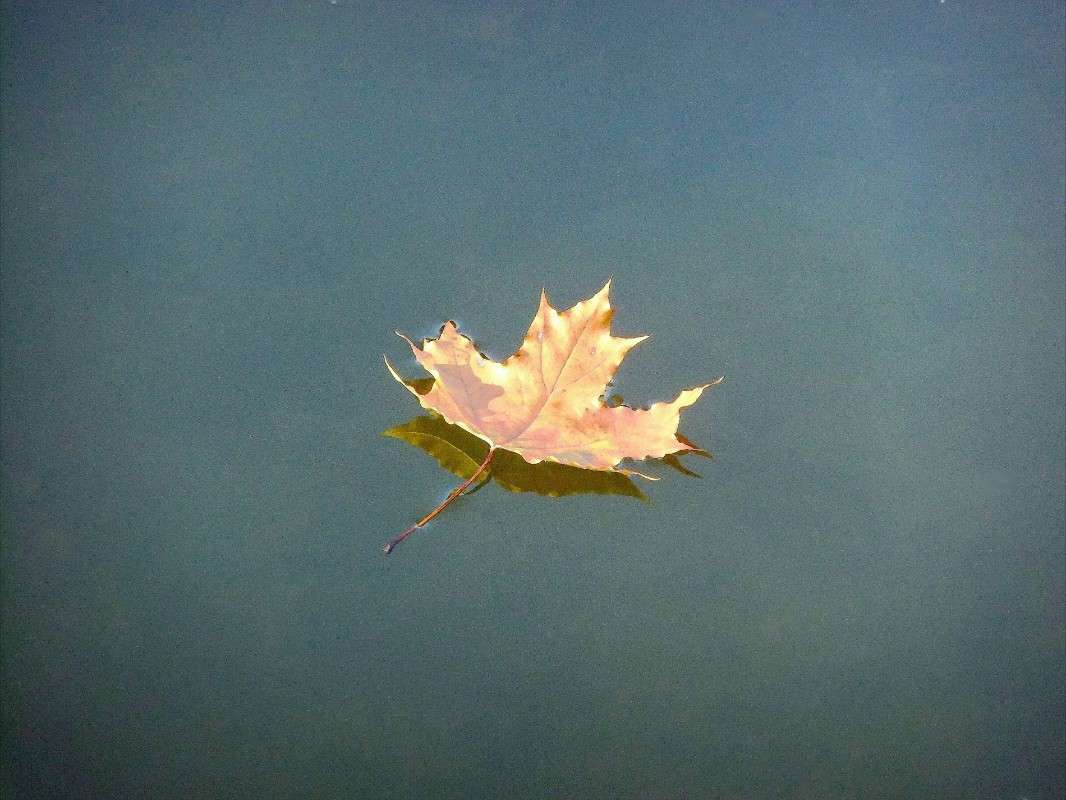 ����� ����� ���� ��������� �� PhotoGeek.ru #������ ��� �������