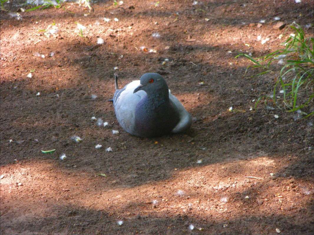 ������ ����� ���� ��������� �� PhotoGeek.ru #������ ��� �������