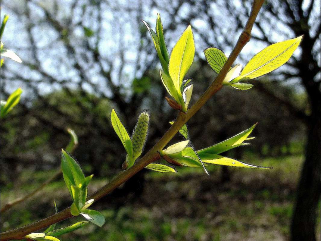 ����� ����� ���� ��������� �� PhotoGeek.ru #������ ��� �������