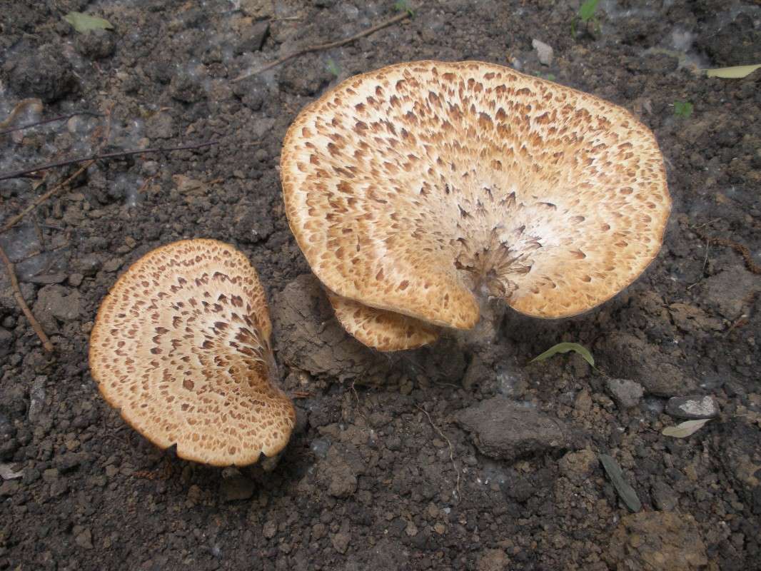 ����� ����� ���� ��������� �� PhotoGeek.ru #������ ��� �������