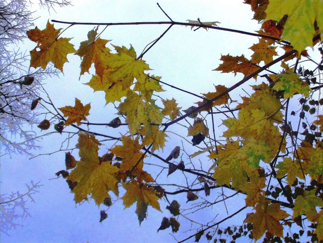 ����� ����� ���� ��������� �� PhotoGeek.ru #������ ��� �������