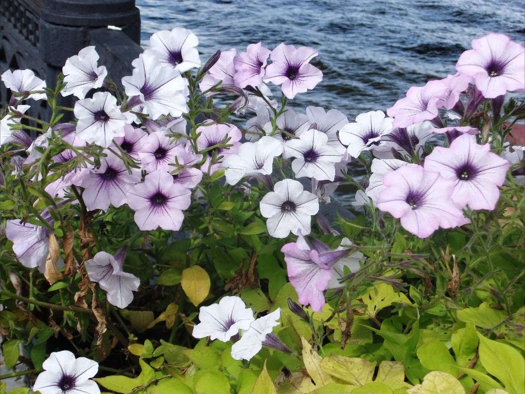 ���� ����� ���� ��������� �� PhotoGeek.ru #������ ��� �������