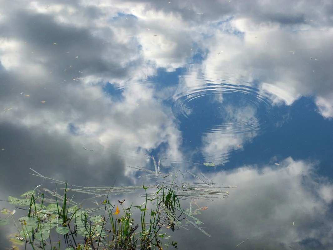 ���� ����� ���� ��������� �� PhotoGeek.ru #������ ��� �������