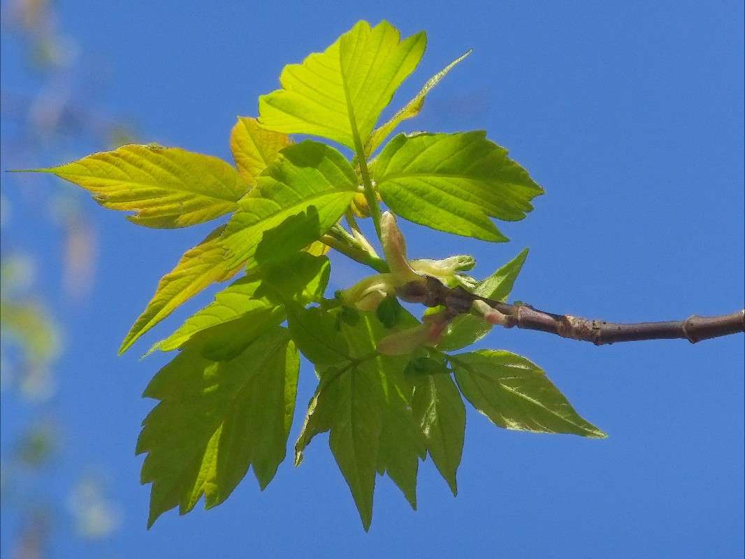 ����� PhotoGeek ����� ���� ��������� �� PhotoGeek.ru #������ ��� ������� #����� PhotoGeek