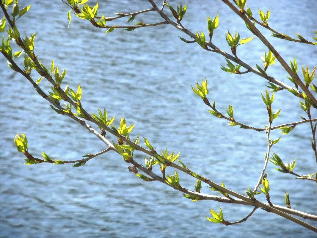 ����� ����� ���� ��������� �� PhotoGeek.ru #������ ��� ������� #�����