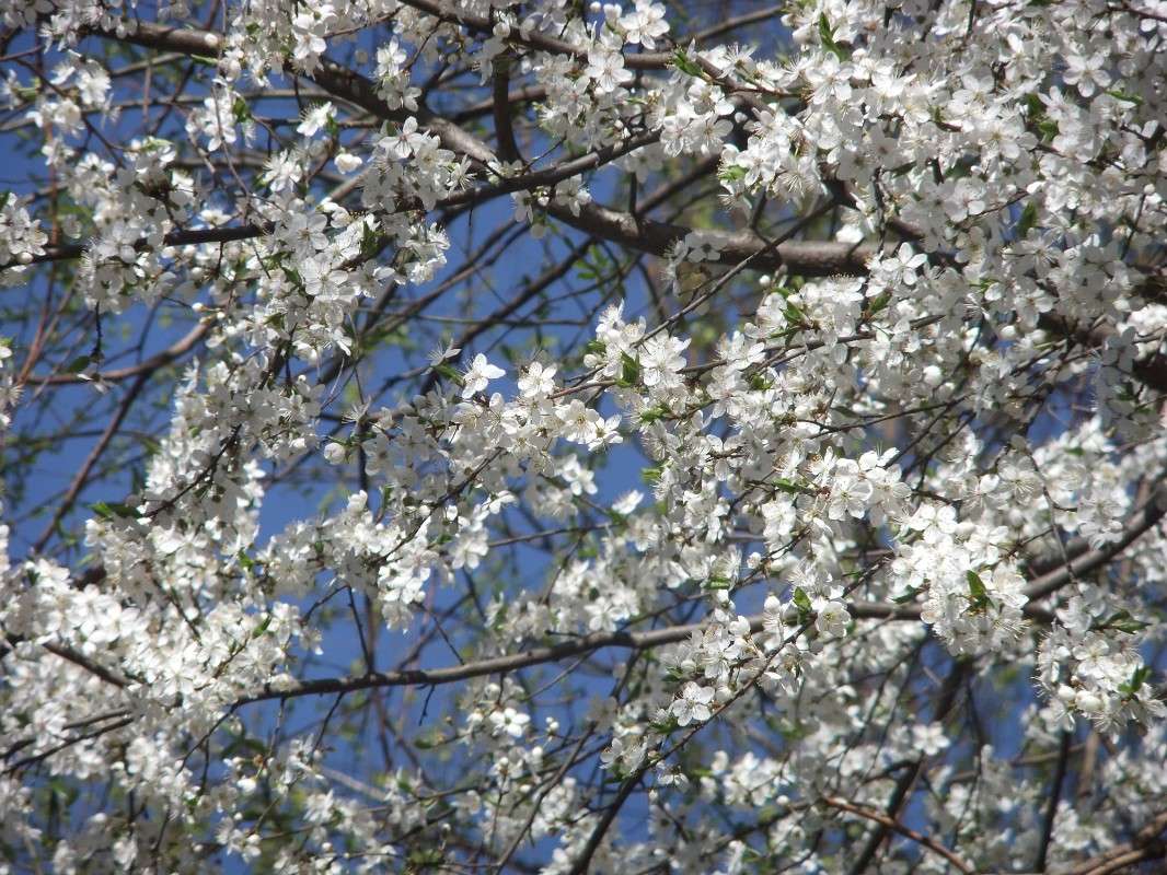 ����� ����� ���� ��������� �� PhotoGeek.ru #������ ��� ������� #�����