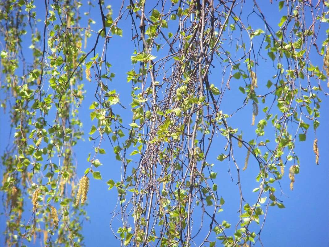 ����� ����� ���� ��������� �� PhotoGeek.ru #������ ��� ������� #�����