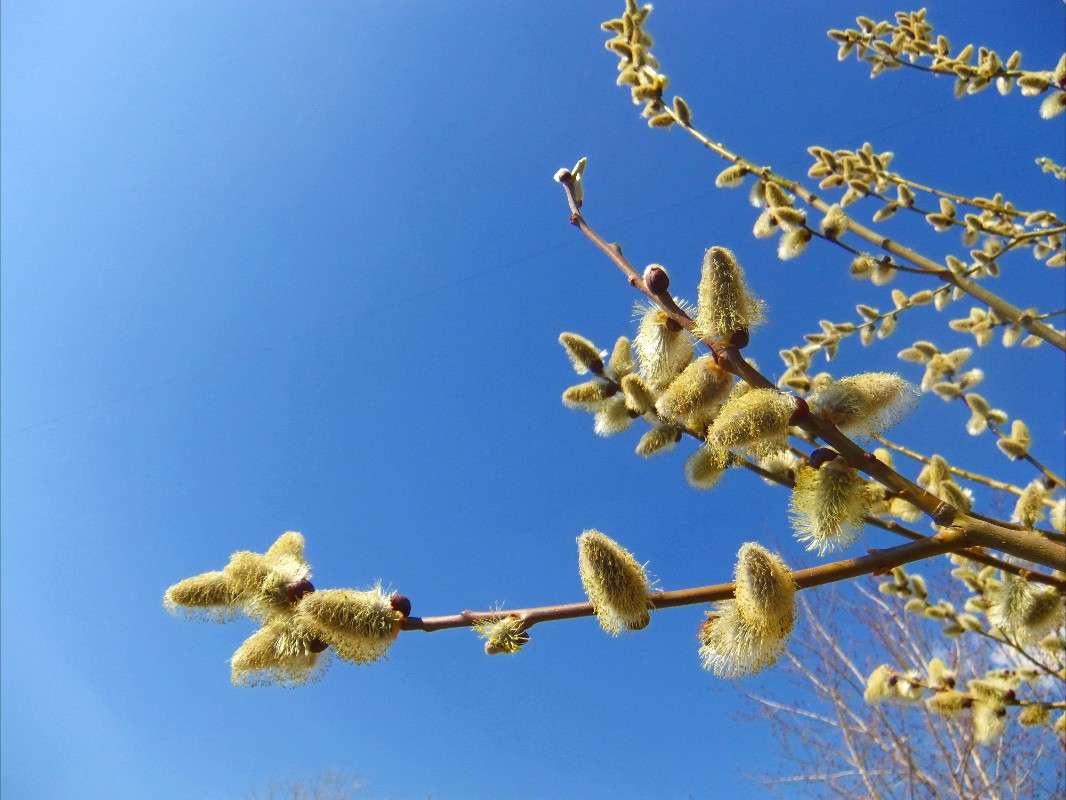 ����� ����� ���� ��������� �� PhotoGeek.ru #������ ��� ������� #�����