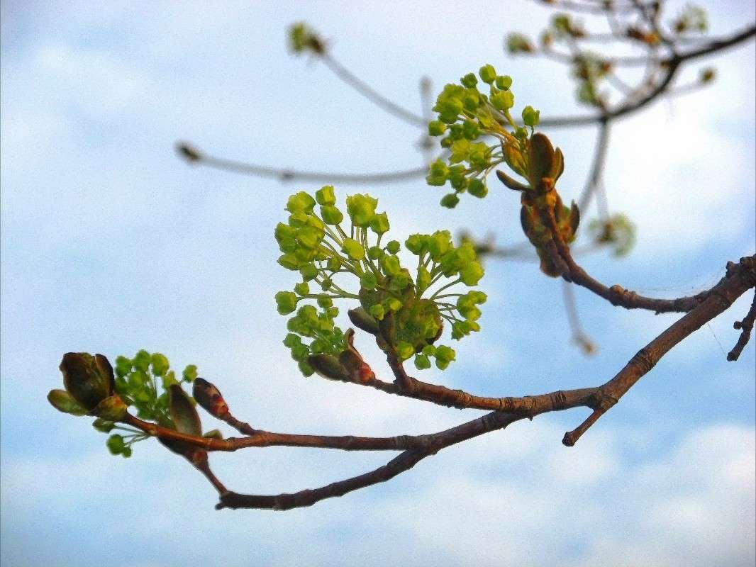 ����� ����� ���� ��������� �� PhotoGeek.ru #������ ��� ������� #�����