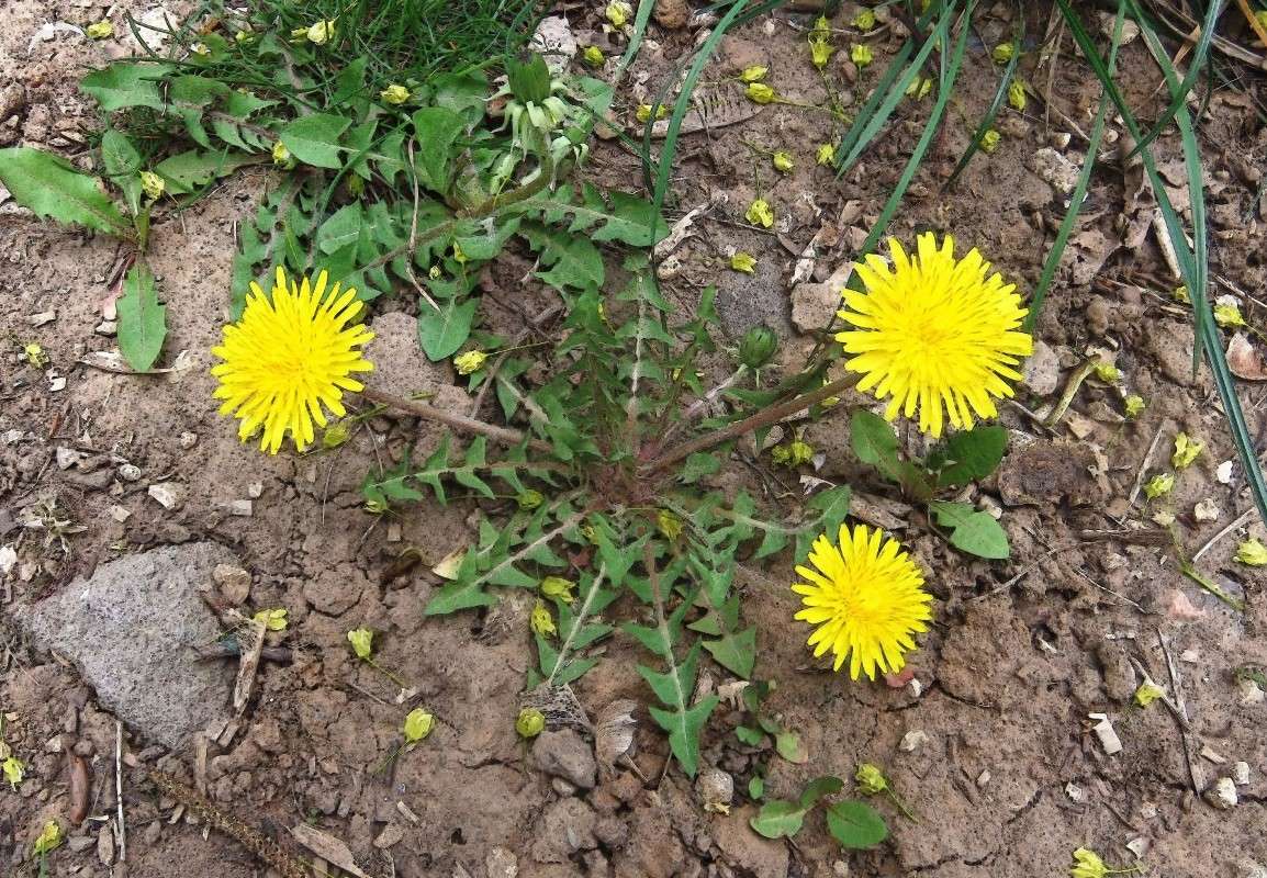 �� ������ ������ ����� ����� ���� ��������� �� PhotoGeek.ru #������ ��� ������� #�� ������ ������ �����