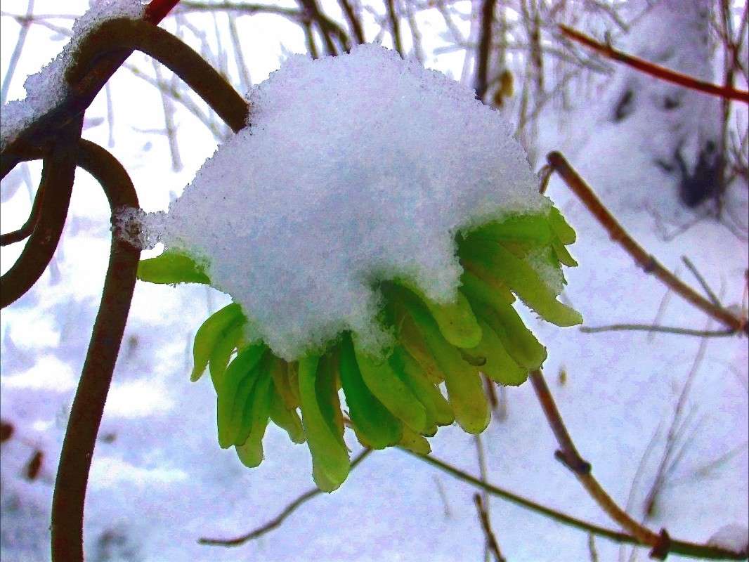 ������ ����� ����� ���� ��������� �� PhotoGeek.ru #�������� ���������� #������ �����