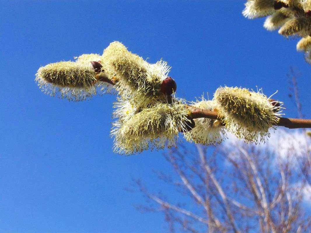 ����� ����� ���� ��������� �� PhotoGeek.ru #������ ��� ������� #�����