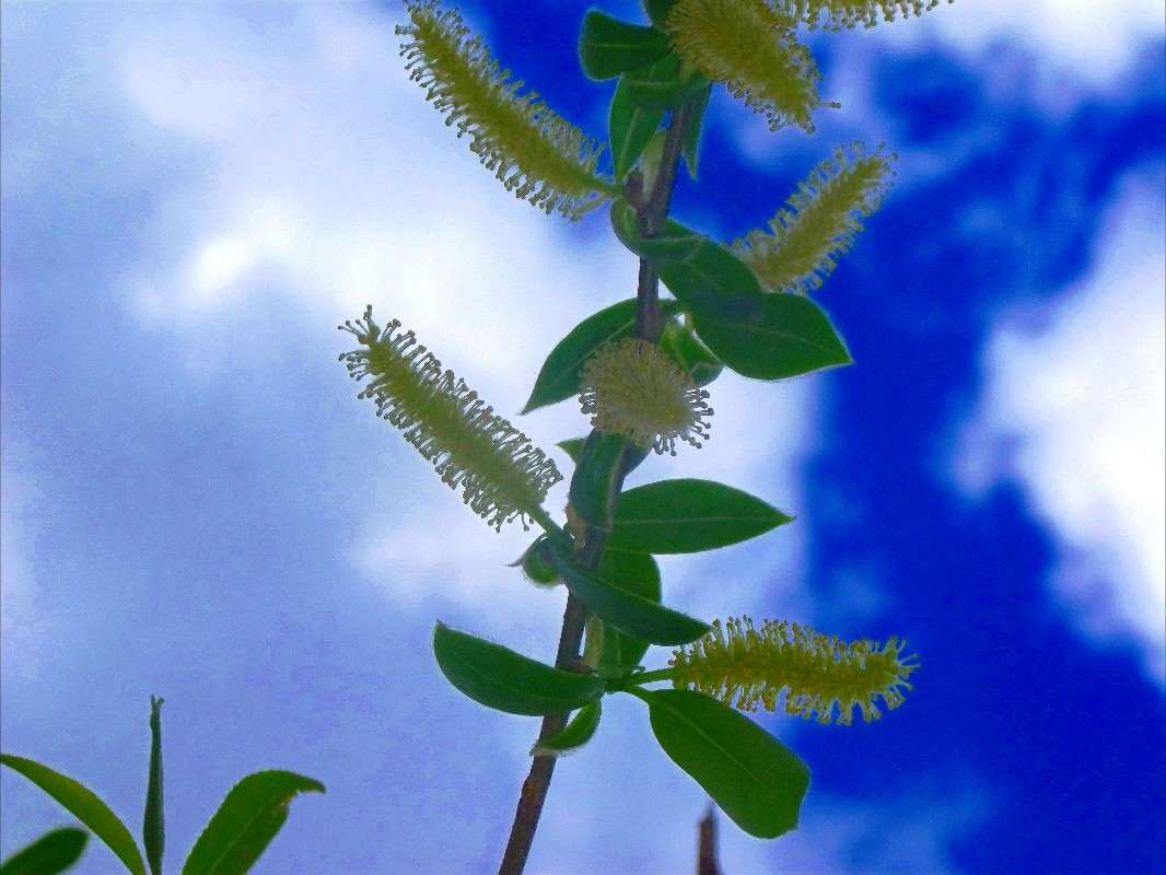 ����� ����� ���� ��������� �� PhotoGeek.ru #������ ��� ������� #�����