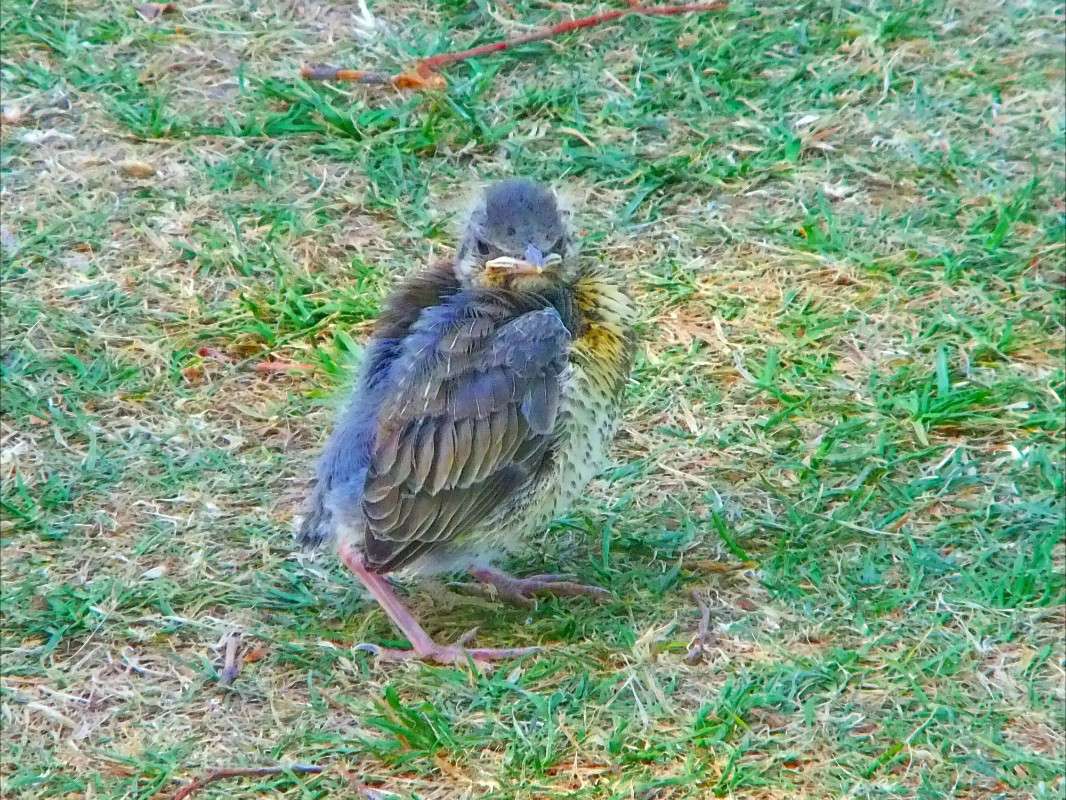 ��� ����� ���� ��������� �� PhotoGeek.ru #�������� ����������