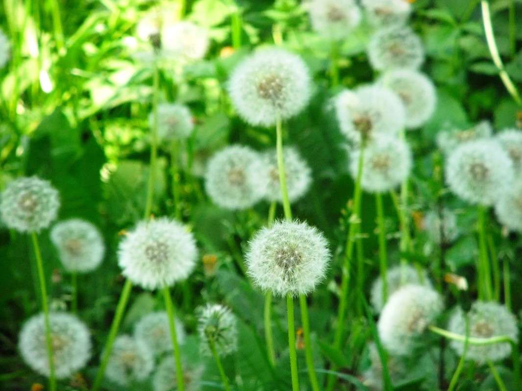 ���� � ���� ���� ����� ���� ��������� �� PhotoGeek.ru #������ ��� ������� #�������� ���������� #���� � ���� ����