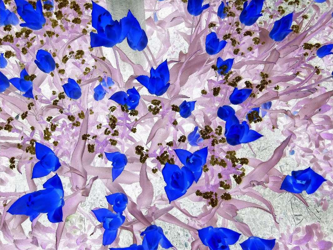 ����� ����� ���� ��������� �� PhotoGeek.ru #������ ��� ������� #�����