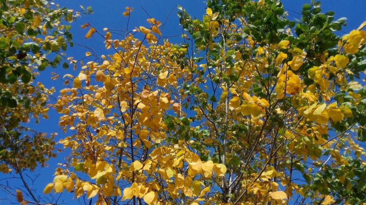 ����� ����� ���� ��������� �� PhotoGeek.ru #������ ��� ������� #�����