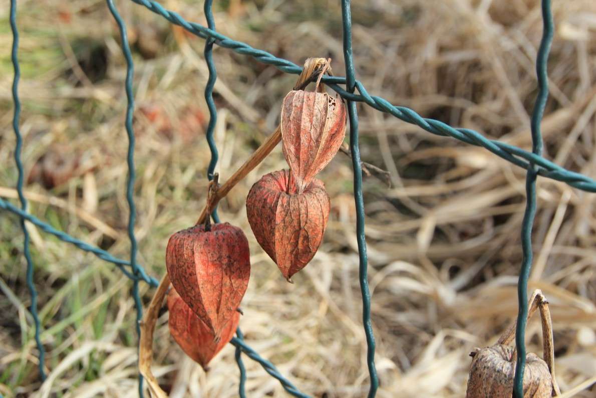 ������� ����� Oksana Shatravka �� PhotoGeek.ru #������ ��� �������