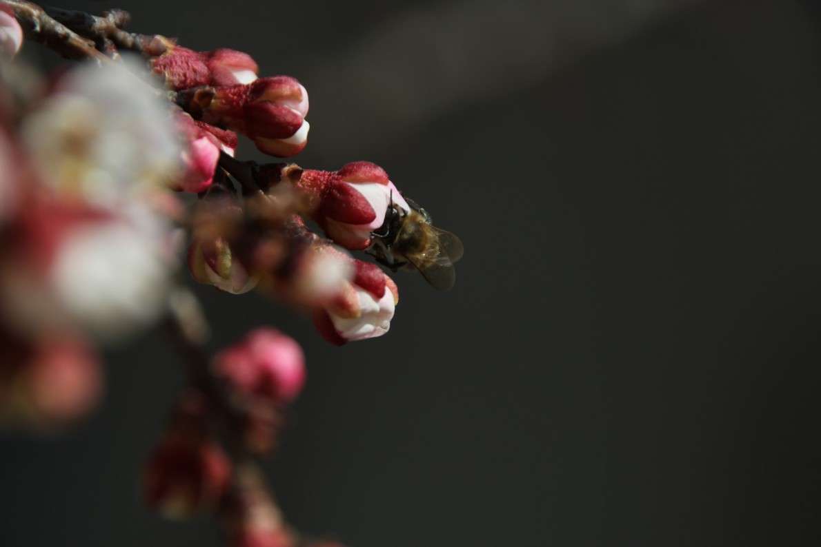 ����������� ����� Oksana Shatravka �� PhotoGeek.ru #����� #���������