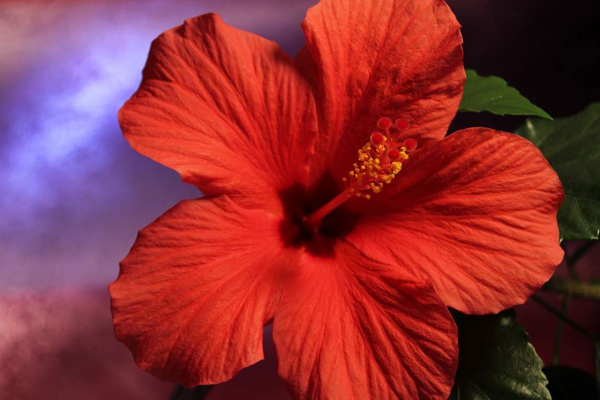 ������ ����� Oksana Shatravka �� PhotoGeek.ru #����� #����� ��������������