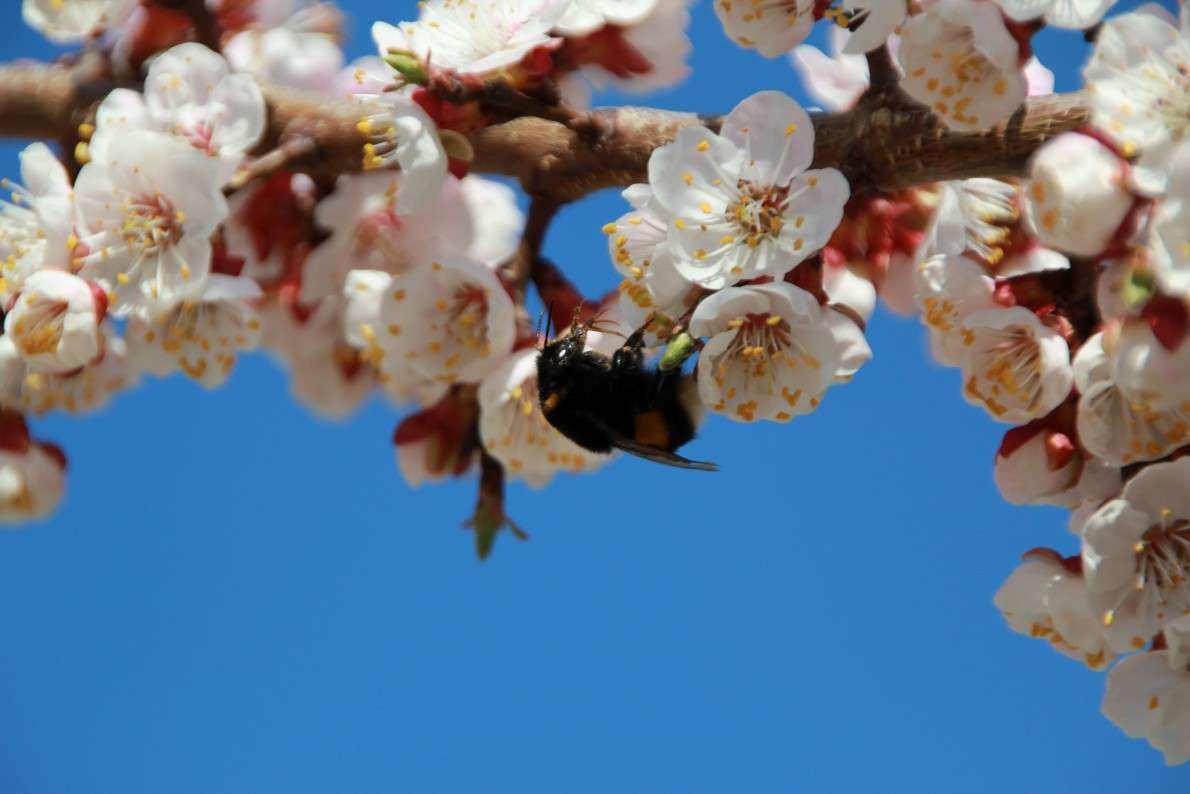 ������� ����� Oksana Shatravka �� PhotoGeek.ru #����� #���������