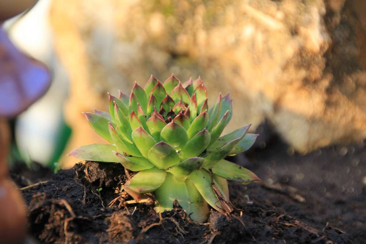 ������ ����� Oksana Shatravka �� PhotoGeek.ru #������ ��� ������� #����� ��������������