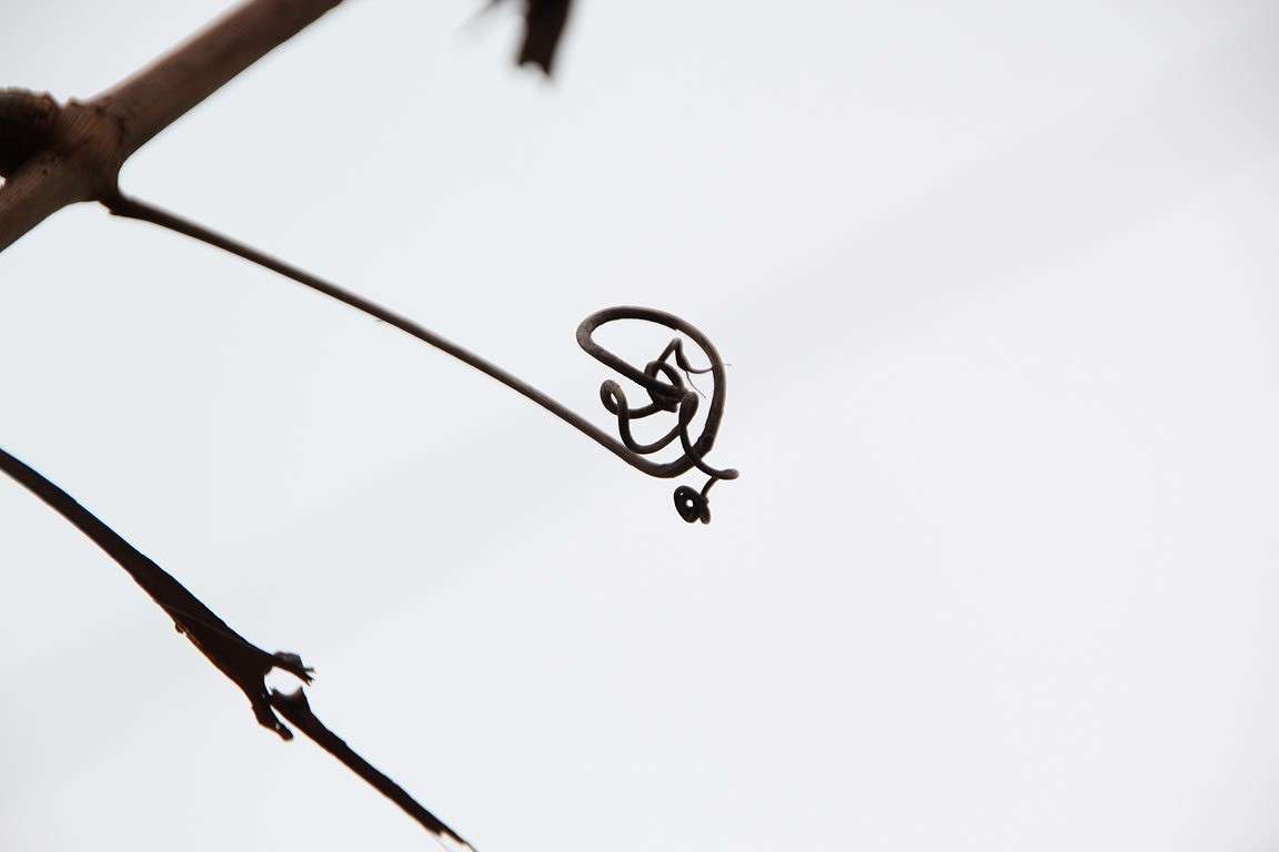 �**** ����� Oksana Shatravka �� PhotoGeek.ru #������ ��� ������� #����������