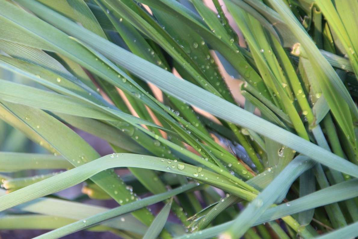 ? ����� Oksana Shatravka �� PhotoGeek.ru #������ ��� ������� #����� ��������������