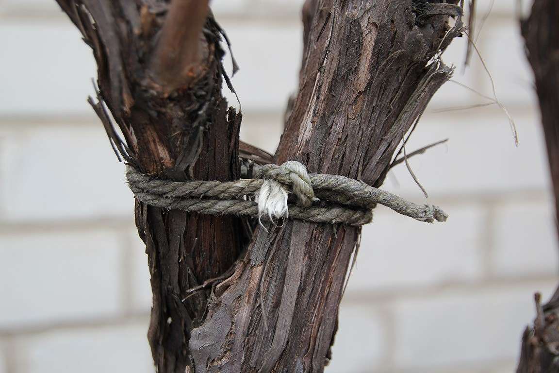 love ����� Oksana Shatravka �� PhotoGeek.ru #������ ��� �������