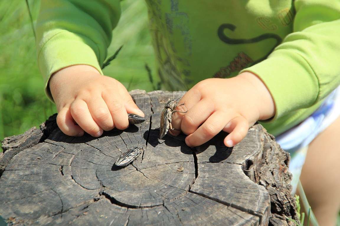 ������ - ��� ������ ����� Oksana Shatravka �� PhotoGeek.ru #�������� ���