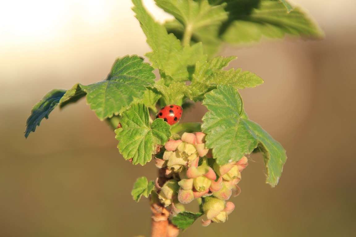 ������� ����� Oksana Shatravka �� PhotoGeek.ru #�����