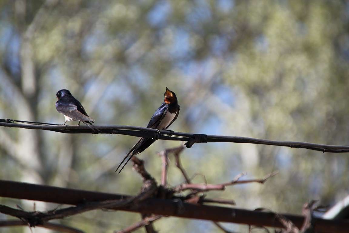 �����.. ����� Oksana Shatravka �� PhotoGeek.ru #�������� ��� #����� ��� ��� ���������