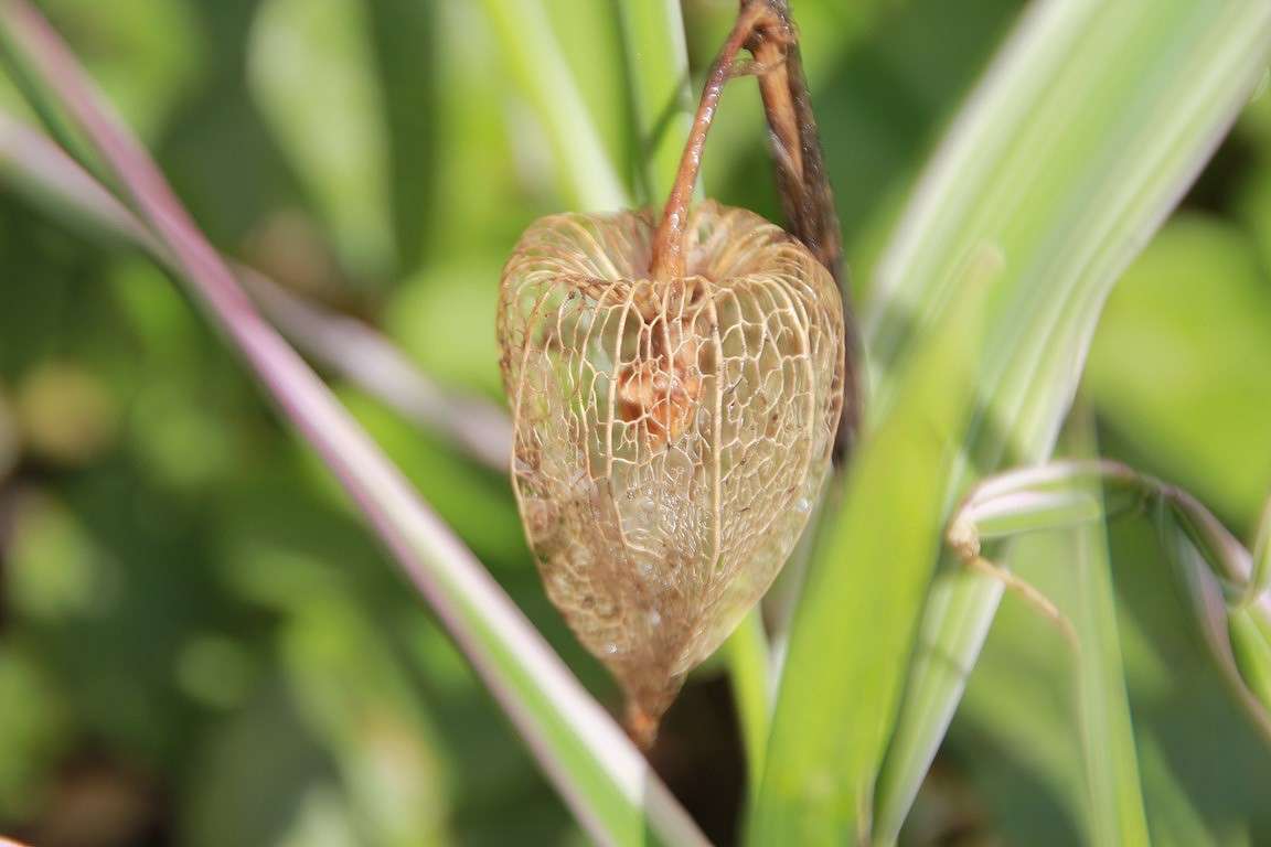 Untitled ����� Oksana Shatravka �� PhotoGeek.ru #����� #����� ��������������