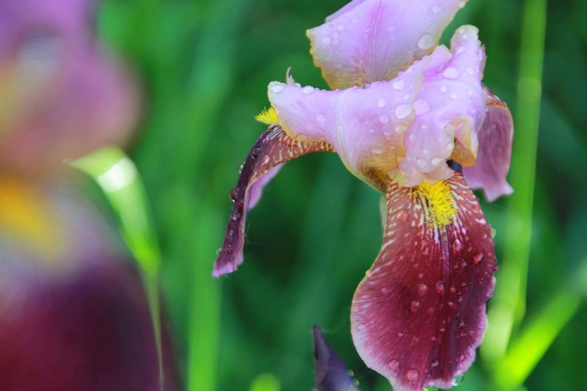 ������... ����� Oksana Shatravka �� PhotoGeek.ru #������ ��� ������� #����� ��������������