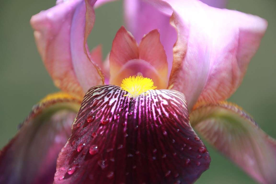 Untitled ����� Oksana Shatravka �� PhotoGeek.ru #�����