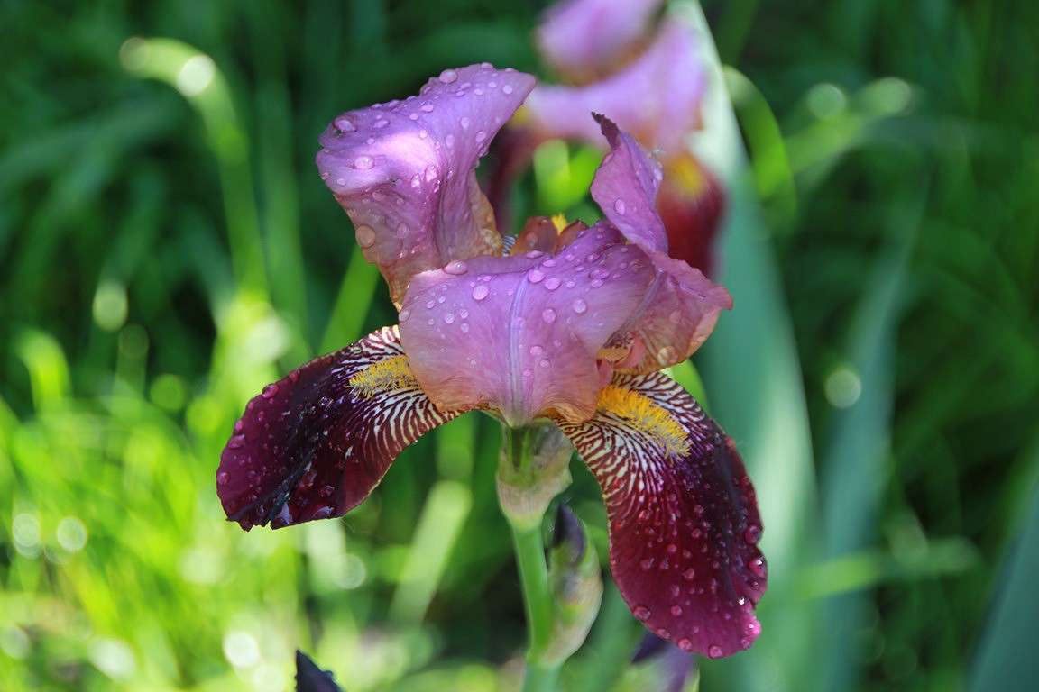 ������ ����� Oksana Shatravka �� PhotoGeek.ru #����� #����� ��������������