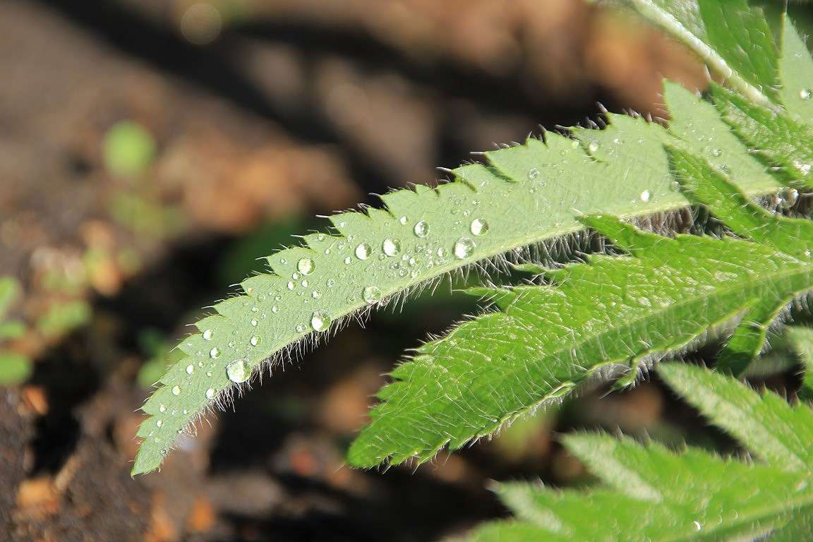 Untitled ����� Oksana Shatravka �� PhotoGeek.ru #����� #����� ��������������