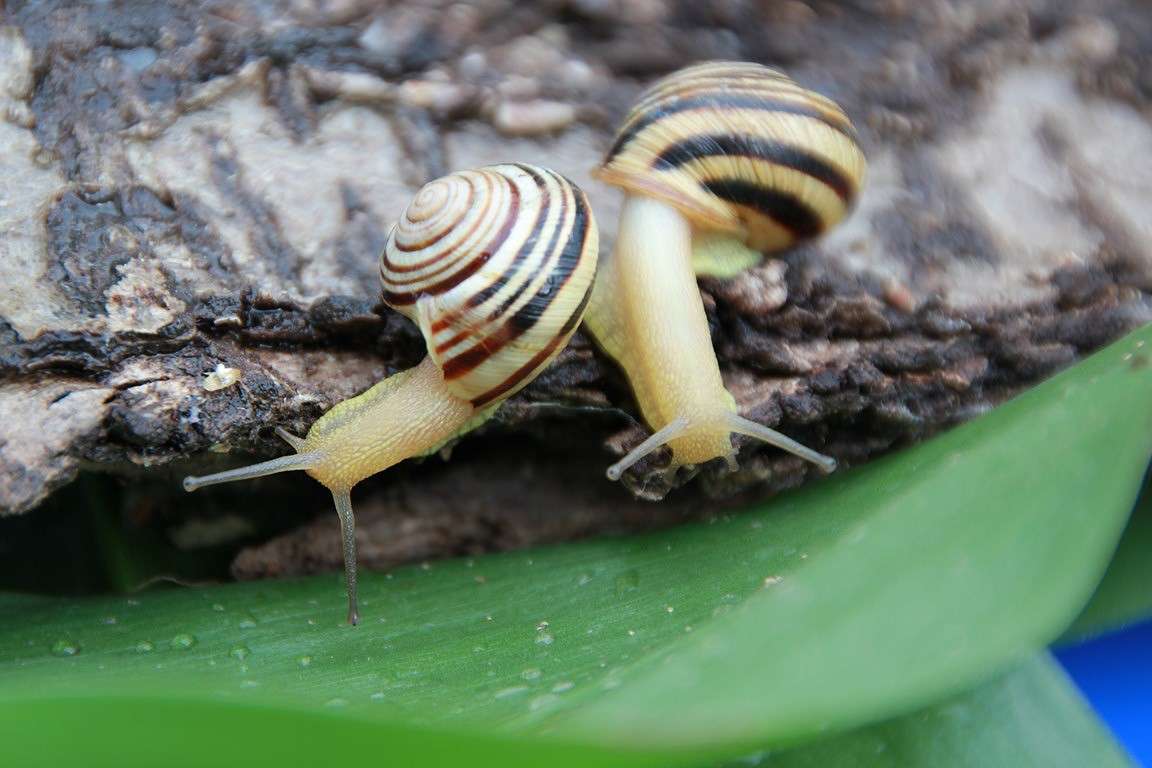 ������� ������... ����� Oksana Shatravka �� PhotoGeek.ru #�����