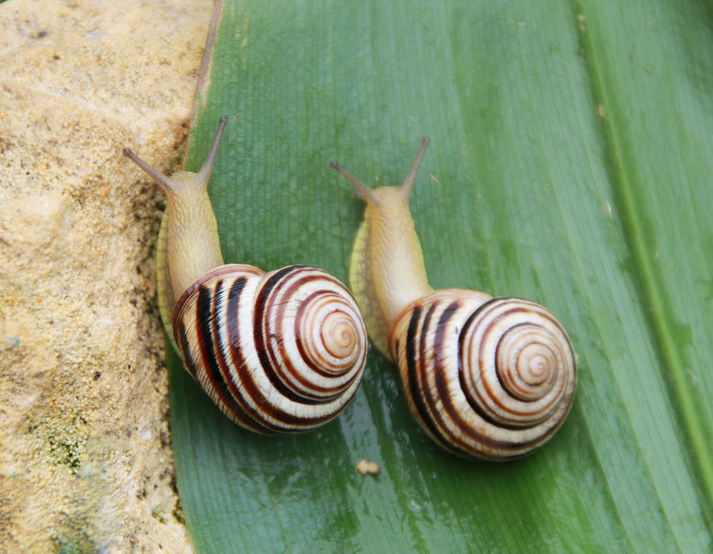 ������������ ����� Oksana Shatravka �� PhotoGeek.ru #�����