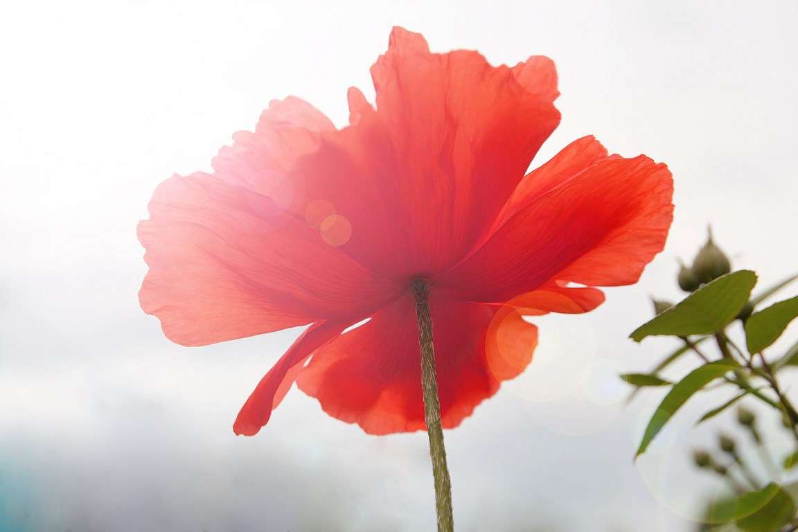 ��� ����� Oksana Shatravka �� PhotoGeek.ru #������ ��� �������