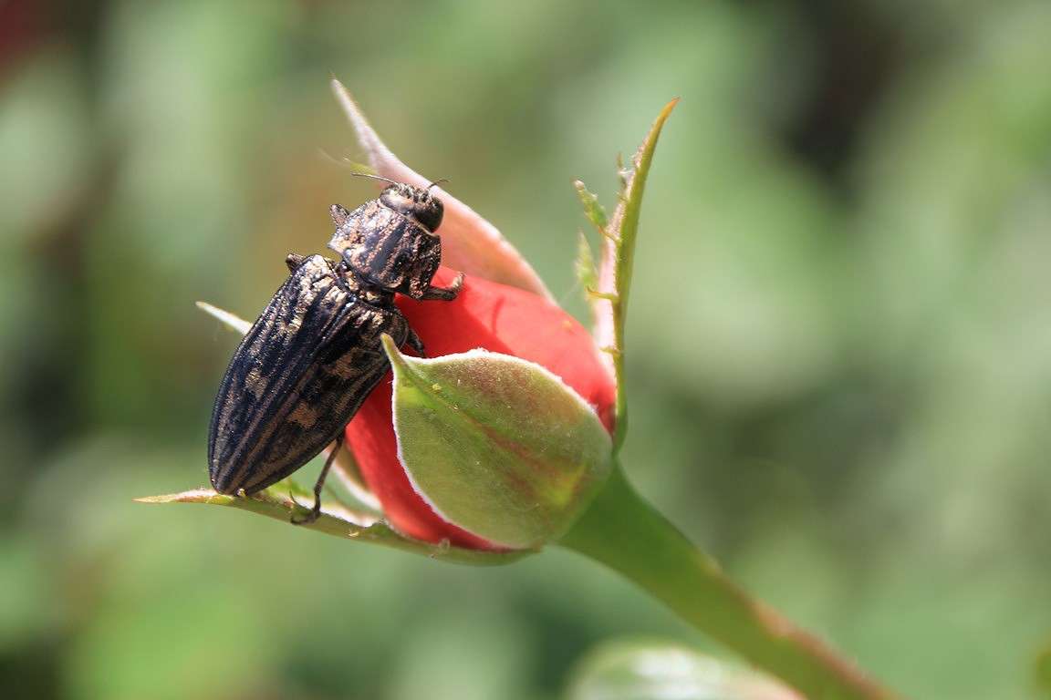 ��� ������! ����� Oksana Shatravka �� PhotoGeek.ru #�����