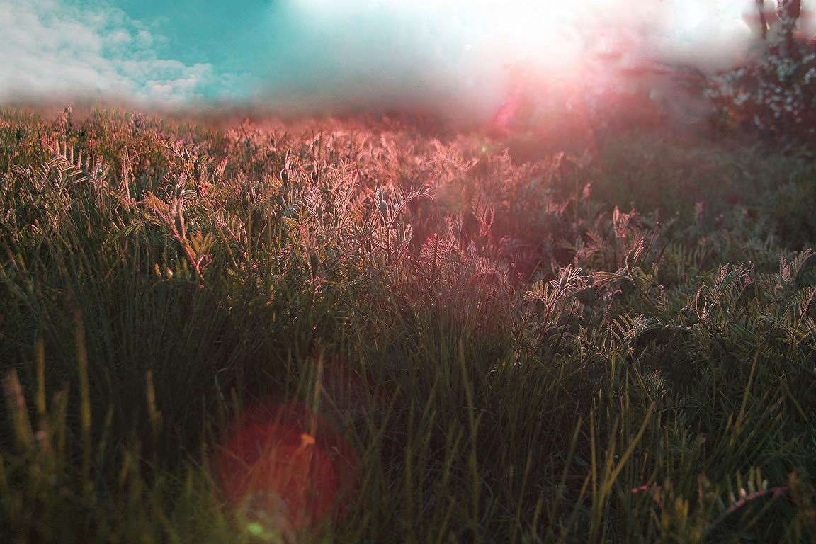 ************ ����� Oksana Shatravka �� PhotoGeek.ru #������ ��� ������� #���-�����������