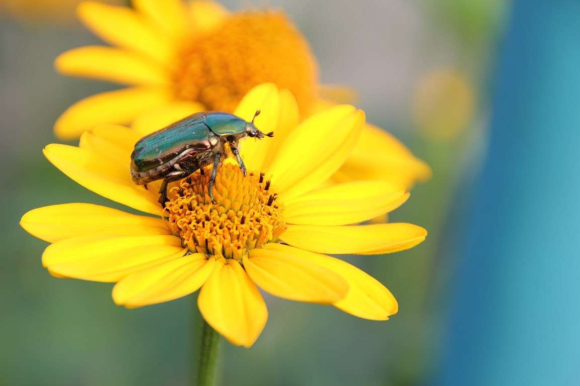 ����� ����� Oksana Shatravka �� PhotoGeek.ru #����� #���������