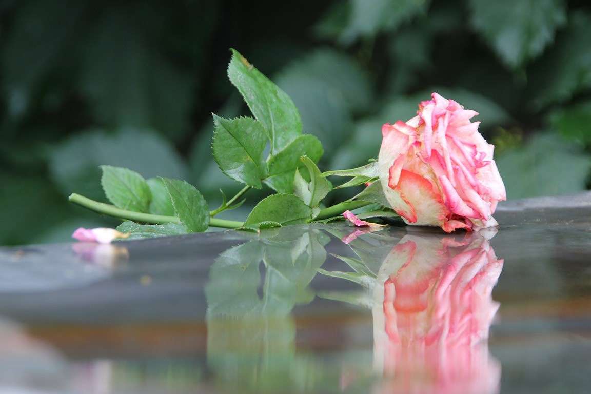 ����� ����� Oksana Shatravka �� PhotoGeek.ru #���������