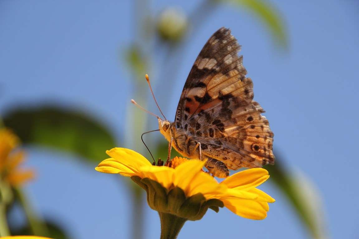 �������� ����� Oksana Shatravka �� PhotoGeek.ru #����� #���������