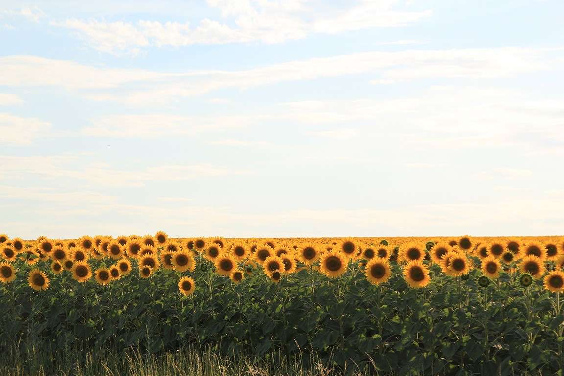 *** ����� Oksana Shatravka �� PhotoGeek.ru #������ ��� �������